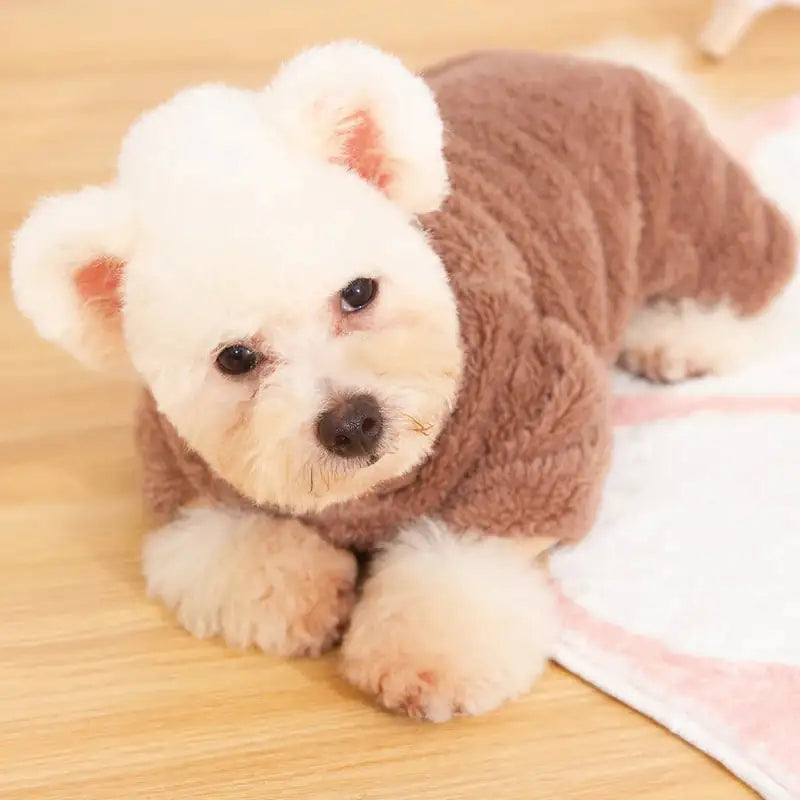 Pajamas for Small Dogs